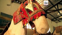 Cameroun : un Musée raconte l'histoire séculaire du cheval