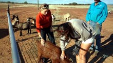 Creek to Coast - Season 26 Episode 11