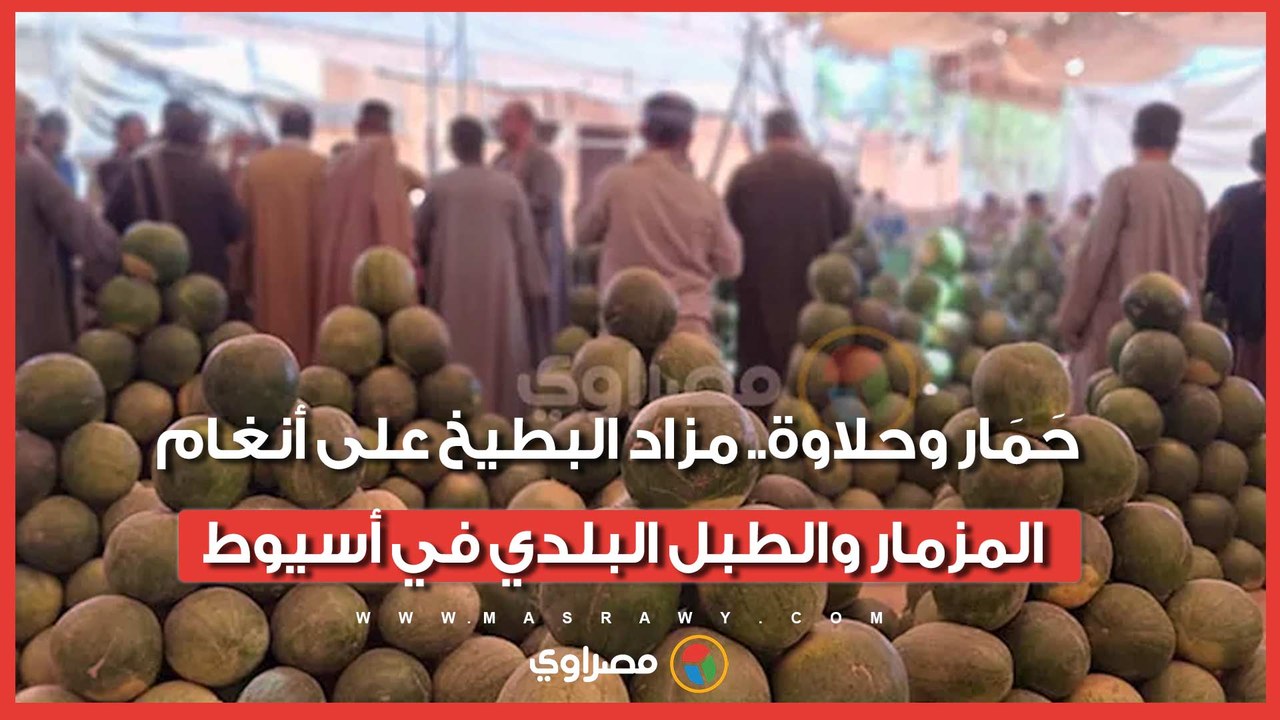 حَمَار وحلاوة.. مزاد البطيخ على أنغام المزمار والطبل البلدي في أسيوط