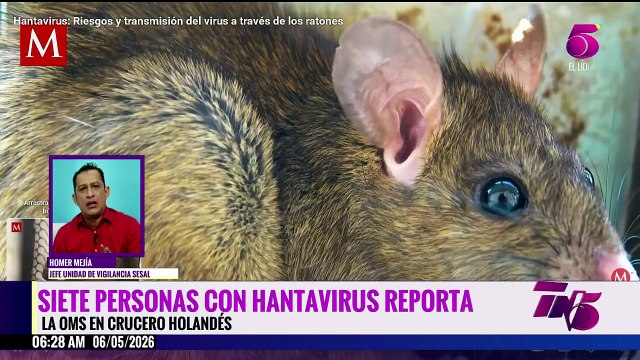 ¿Hay casos de Hantavirus en Honduras? Esto dicen autoridades de salud