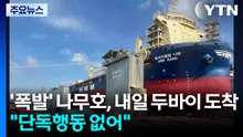 '폭발' 나무호, 내일 두바이 도착...HMM "단독 행동 없었다" / YTN