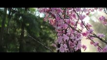 MORTAL KOMBAT 2 Official Trailer 3 (2026)