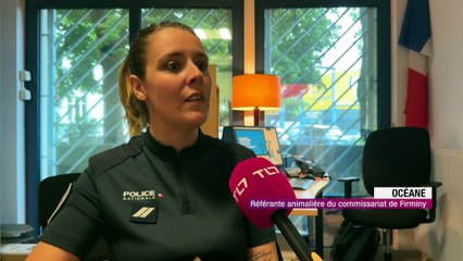 Le chat Perkiz rejoint les rangs du commissariat de Firminy