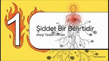 Gelişmekte Olan Ülkelerde Şiddet Sorunu – Fâzıl Çetiner