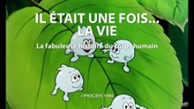Il était une fois... la Vie - 20 - Les muscles et la graisse - HD 1080