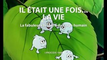 Il était une fois... la Vie - 19 - Les os et le squelette - HD 1080