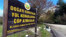 Türkiye'nin yeşil cennetinde pes dedirten görüntüler