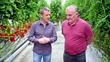 Grow Cook Eat S01E02 - Tomatoes – a Meal in Themselves - Free TV Shows Tubi