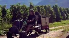 L'impresa di Josia Stoll e Cookie