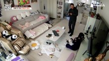 사회성이 떨어지는 견종 포메라니안! 애정과 관심을 줄여야 사회성이 생긴다?!