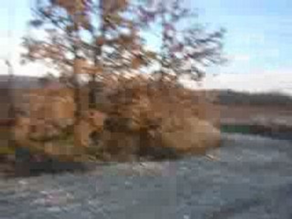 saut de Gaz en Quad
