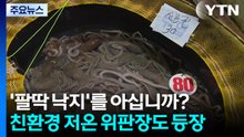 '팔딱 낙지'를 아십니까?...친환경 저온 위판장도 등장 / YTN