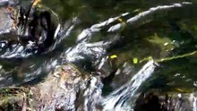 MVI_7543