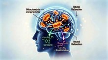 Brainlume Gentle Light for Brain Wellness by Brainlume — Kickstarter