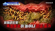 고령 여성에게 더 위험한 대장암!? 고기 위주의 식습관이 문제다?