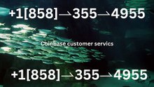 【COINBASE®】Customer- Service And.Support } Number - Complete Guide to Live Chat,, and 24/7 Service Care℗@2o26
