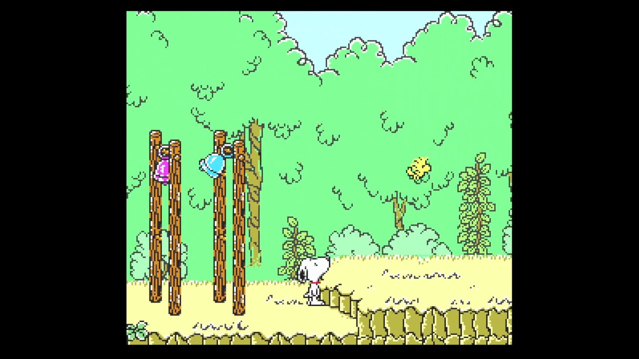 SFC スヌーピーコンサート | Snoopy Concert