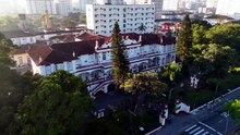 Saiba mais sobre o mal de Parkinson