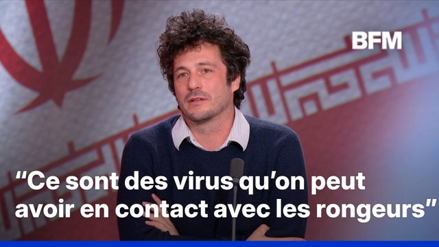 Hantavirus: “Des transmissions mais pas aussi importantes qu’avec la Covid-19”, explique un médecin