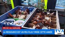 TVA Nouvelles CHAU 12H 6 mai 2026
