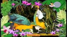 the amazing world 2006 babytv israel - zoo animals
