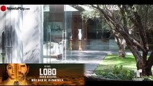 Lobo Morir Matando | Capítulo 51 Completo