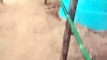 Trilha no rancho.