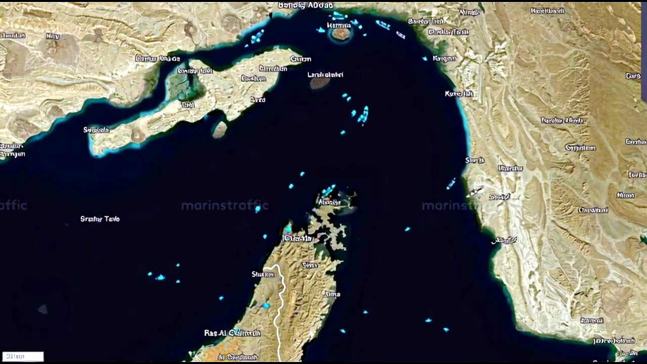 Cat Marine Traffic BIG CAT DJ