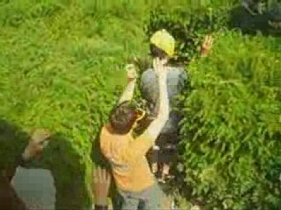 Parasite atack 5-Bande anonce