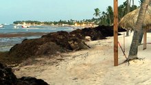 Punta Cana