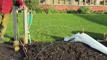 Distancias de siembra de muchos cultivos en una cama de cultivo | Tips de jardinería sin cavar