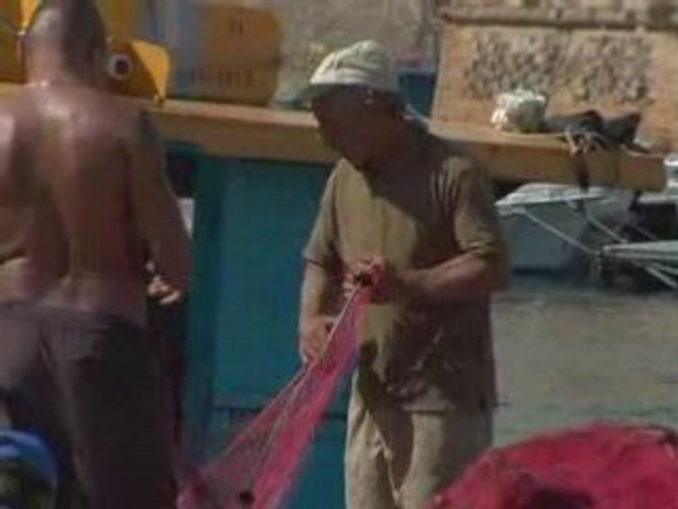 Discover Puglia