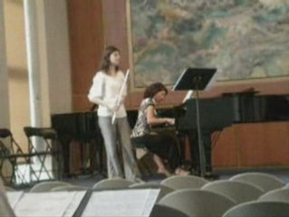 fantaisie sur carmen de borne