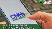 CNH do Brasil: app agora facilita integração entre instrutores e condutores