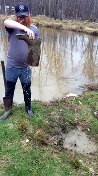 Geese don't have to pour out their boots after playing in the water, thankfully. | #SparklegleamFarm #Tooey #Lemongrab #TheGinger #farm #goose #farmanimals #soft #cute