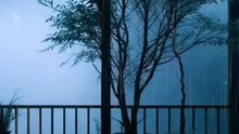 Rain Sounds to Relax Instantly 🌧️ | Cozy Vibes #Shorts #rain #relaxingsound #relax #trending