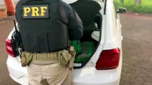 PRF prende motorista de aplicativo que transportava 34 kg de skunk em Icaraíma - 2