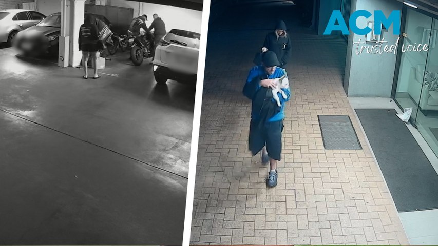 Police shared the vision in May, which appears to show one of the offenders nursing a white French bulldog  puppy, while the group forced entry into an apartment complex parking lot on Queens Road on March 21, 2026.This video includes ACM-produced voiceover powered by AI.