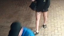Alleged offender seen nursing puppy during burglary