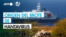 ¿Dónde se originó el brote de hantavirus que generó alarma internacional?