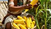 Así CULTIBABAN sobre el AGUA los MEXICAS