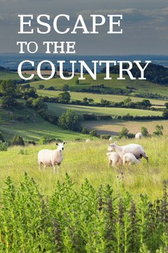 Escape To The Country - Season 26 - Episode 24: East Sussex