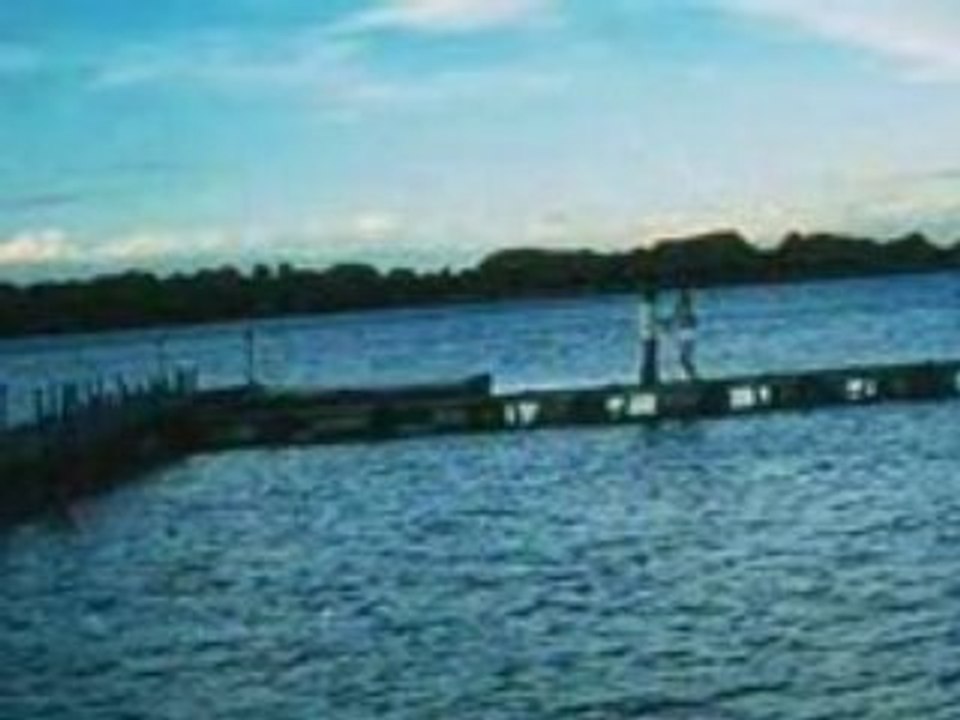 Dil diya hai Mile Ho Tum To