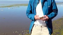 Remarkable Lake George discovery baffles professor