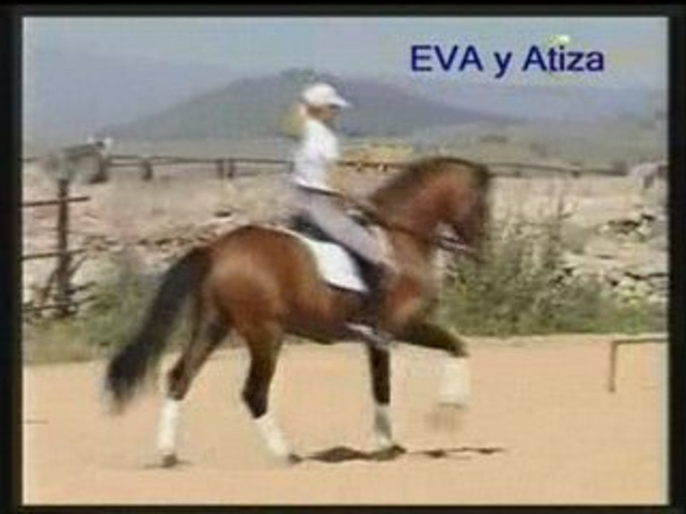ATIZA PRE