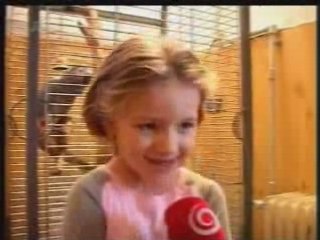 Cibo speaking Parrot