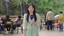 [날씨] 흐린 하늘, 곳곳 점차 약한 비...한낮에도 선선 / YTN