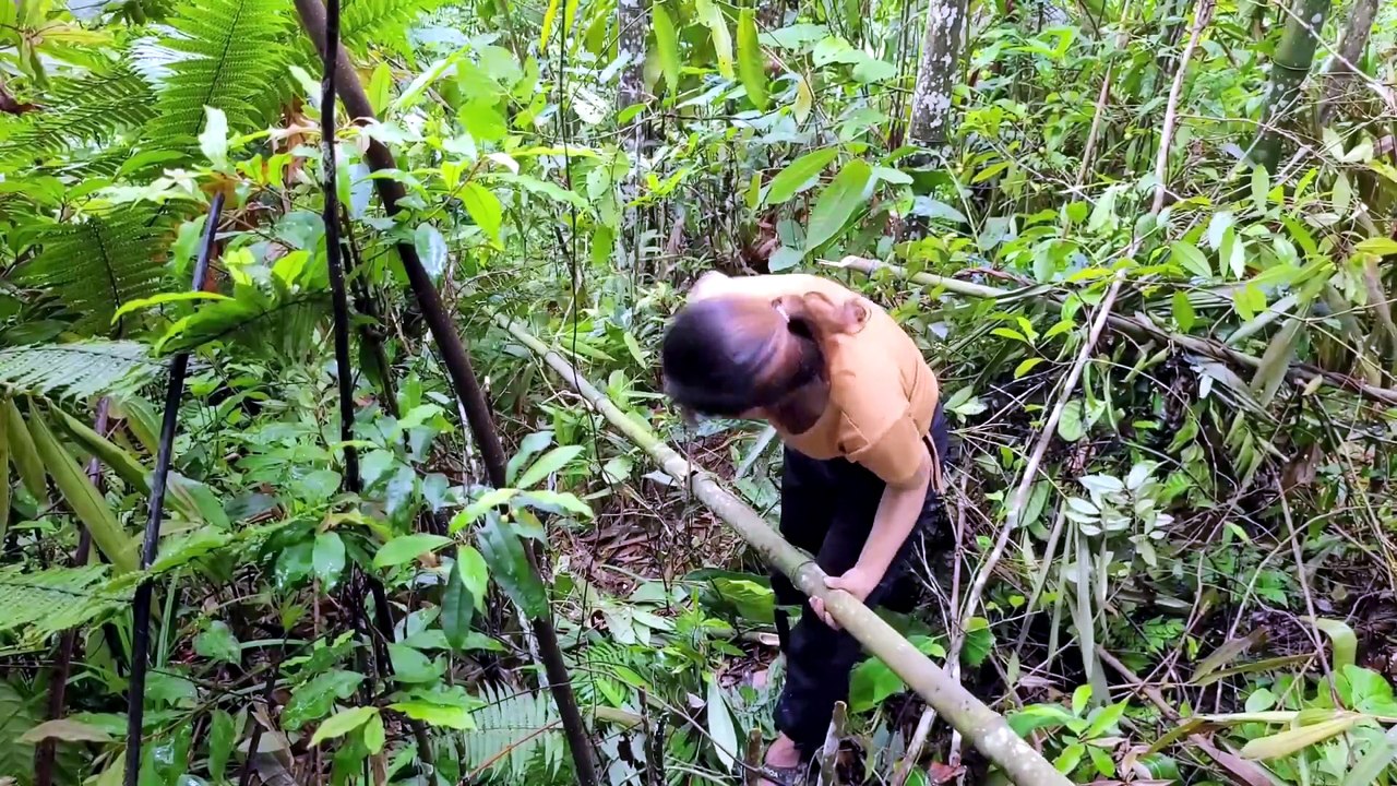 JOVEN INGENIOSA. SIN MAESTROS. SIN AYUDA. SOLO SUS MANOS- CAMAS DE BAMBÚ, RINCONES IMACULADOS, PUERTAS TALLADAS