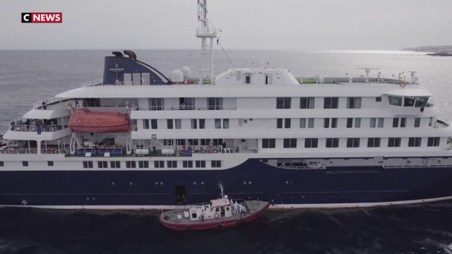 OMS : l'hantavirus, «un risque faible pour le monde»