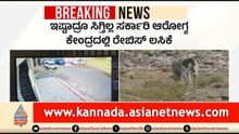 ನಾಯಿ ಕಚ್ಚಿದರೆ ಹುಷಾರ್; ಆಸ್ಪತ್ರೆಗಳಲ್ಲಿ ಸಿಗ್ತಿಲ್ಲ ರೇಬಿಸ್ ಲಸಿಕೆ | Rabies Vaccine Shortage | Bengaluru